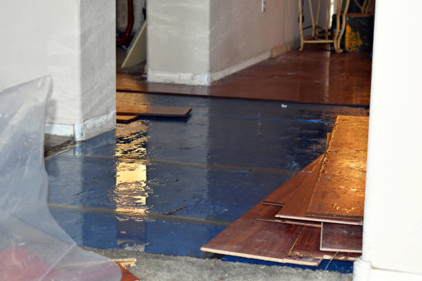 Professional Water Damage Restoration technician working in Reedley, CA
